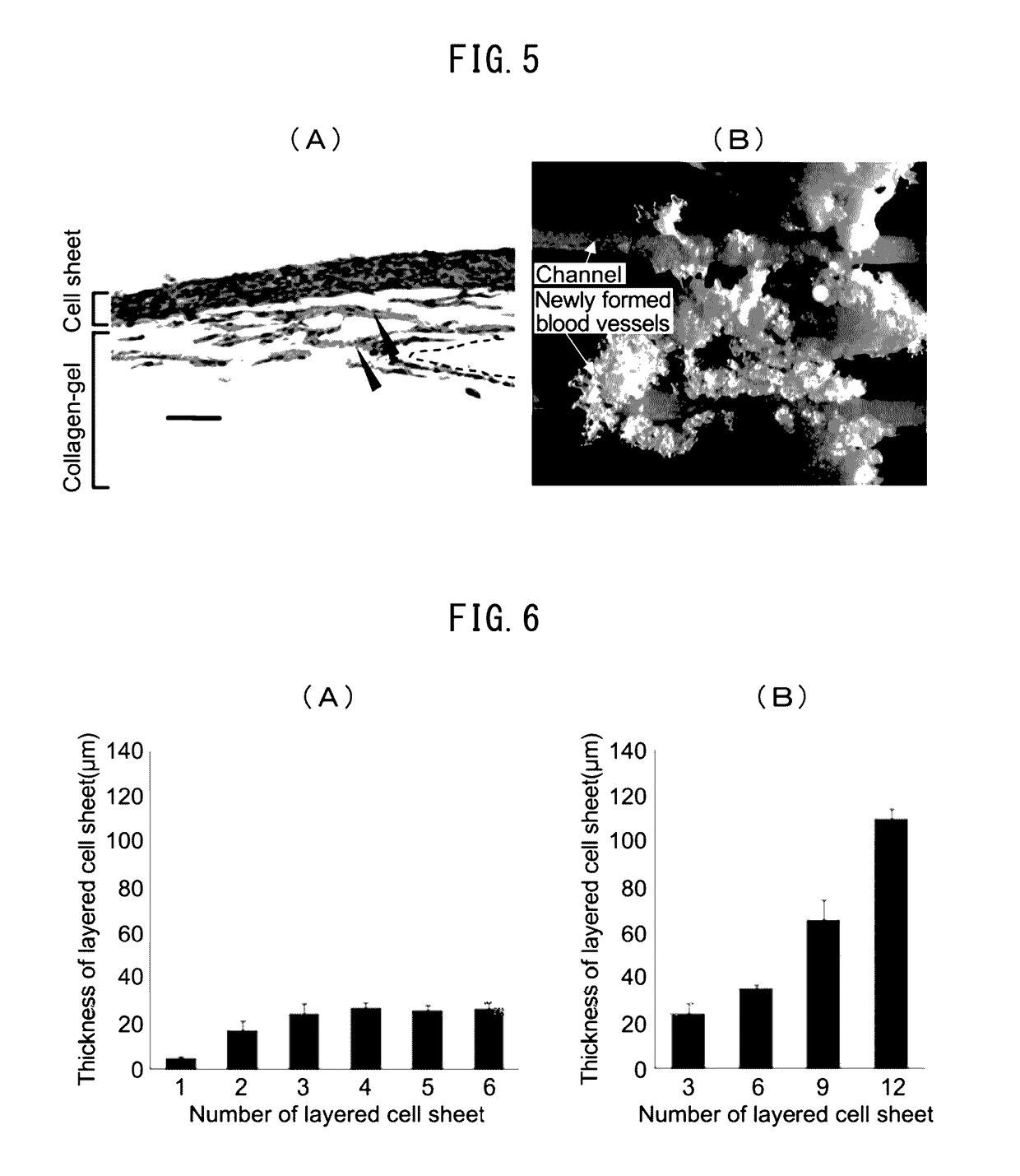 Method for manufacturing multilayered cell sheet, multilayered cell sheet having vascular network obtained thereby, and method of use thereof