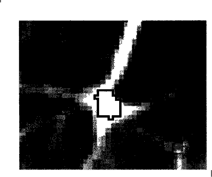 Method for automatically separating adherent hyaline-vascular type lung nodule in CT image