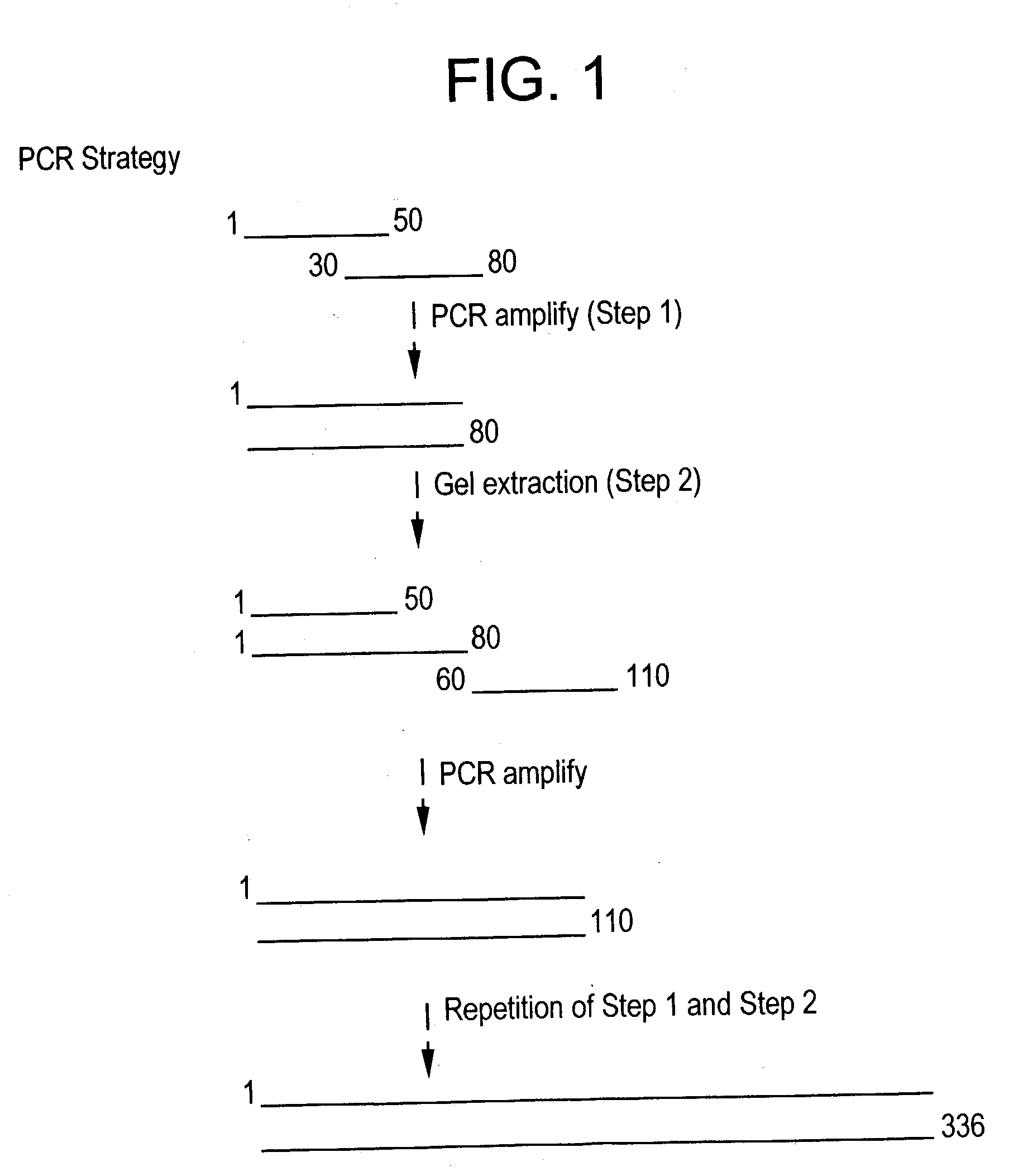 Multivalent synthetic vaccine for cancer