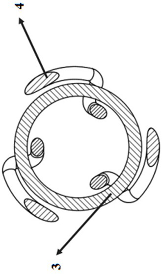 A helical wire spring socket