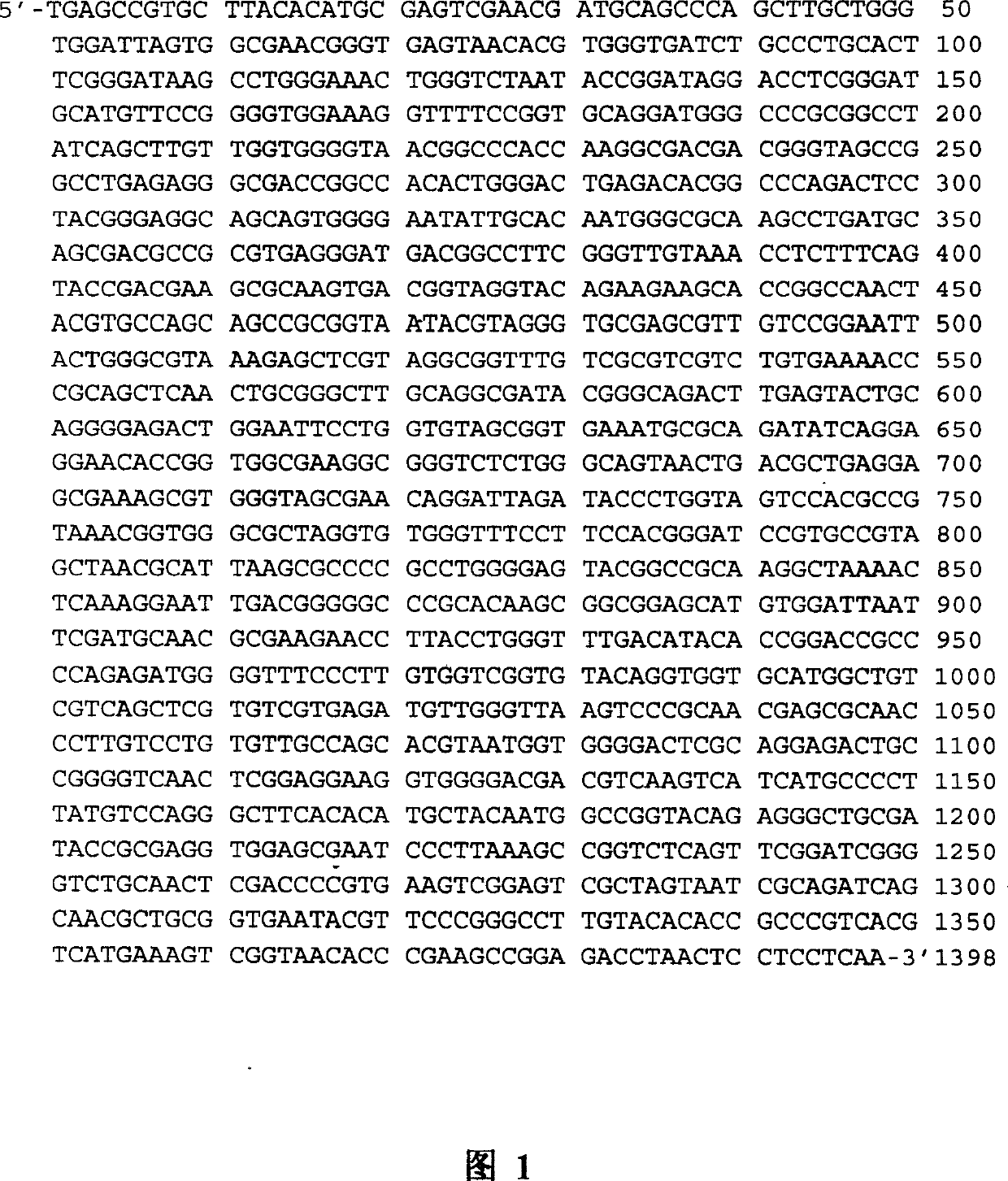 Erythro micrococcus Em and usage for generating biologic emulsifier as well as degrading polycyclic aromatic hydrocarbon