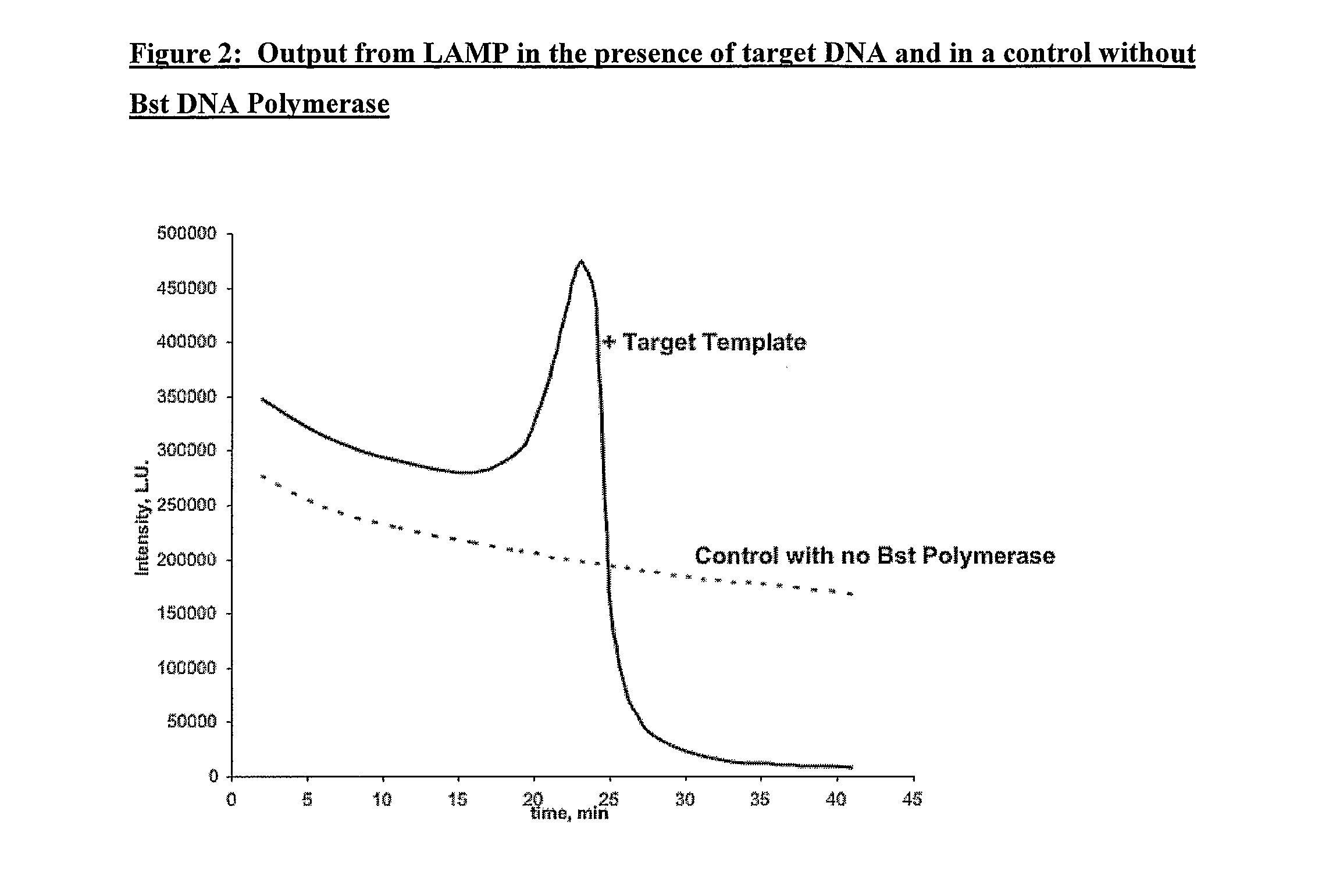 Method for Determining the Amount of Template Nucleic Acid Present in a Sample