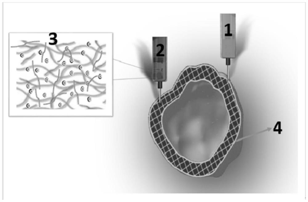 Method for constructing hollow vascularized heart based on 3D bioprinting technology and hollow vascularized heart