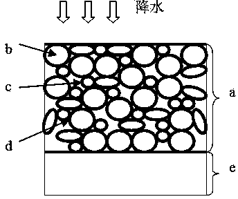 Rapid sand-stabilization, growth-promotion, growth-protection and water-saving ecological restoration method for desertification areas