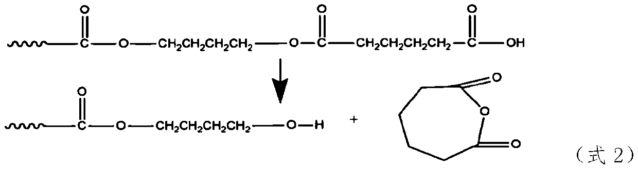 Biodegradable fat-aromatic copolyester with low carboxyl content and multi-branched chain structure, and preparation method and application thereof