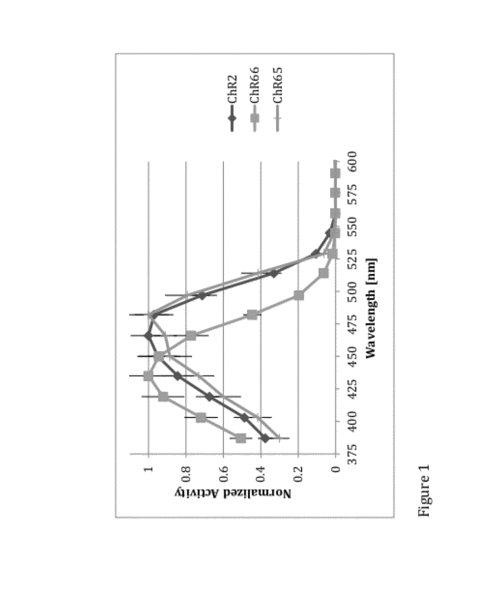 Light-activated ion channel molecules and uses thereof