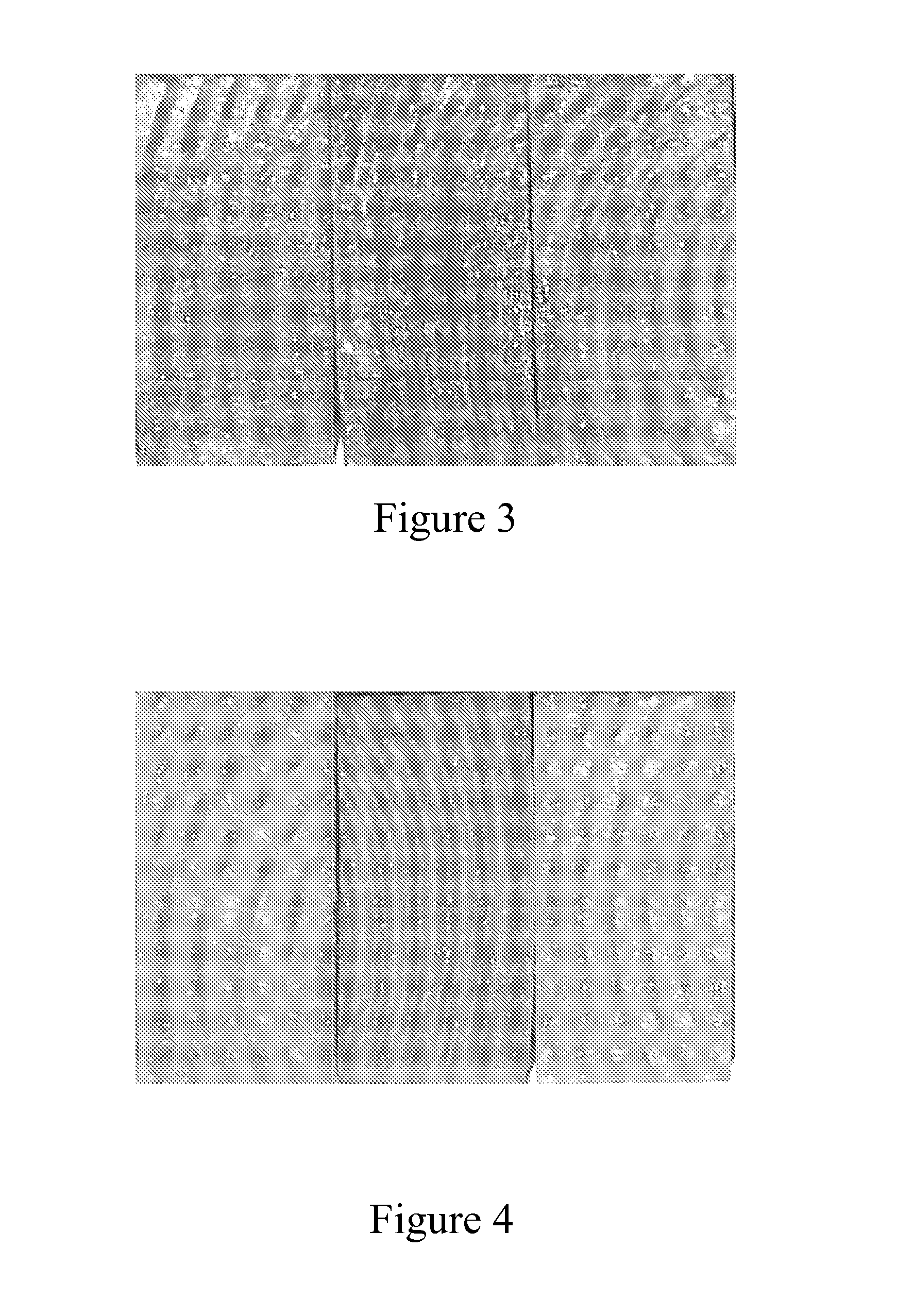 Water repellent composition for improving wood product dimensional stability