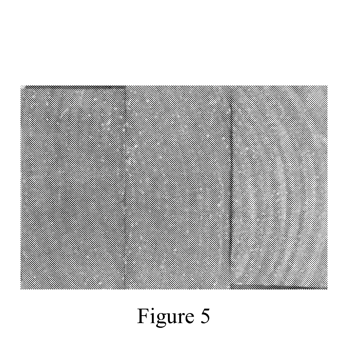 Water repellent composition for improving wood product dimensional stability