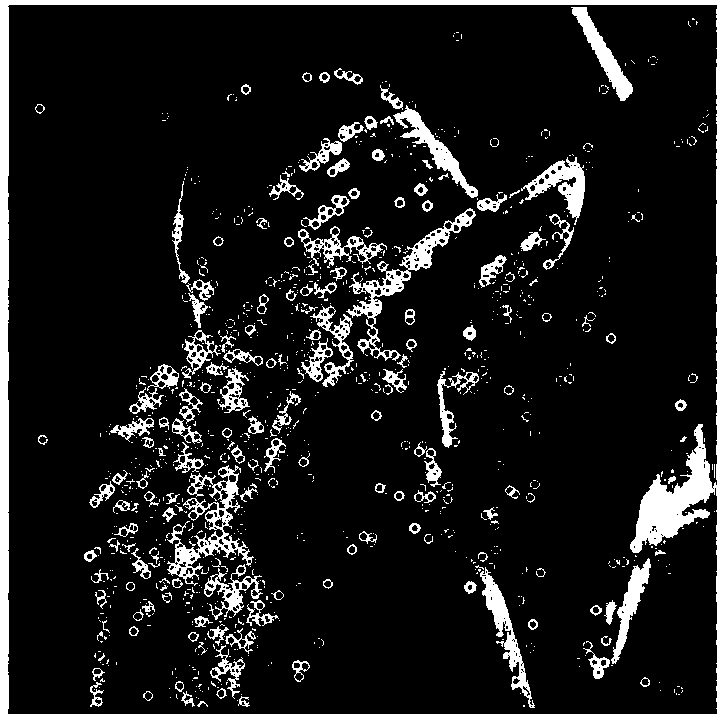 PCA-SIFT-based fast image splicing method