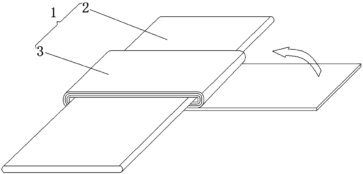 Mounting and fixing device and mounting method for capacitive gap sensor