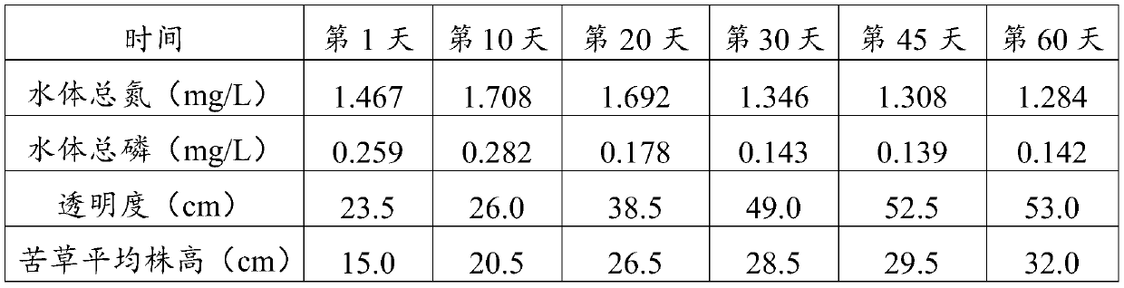 Submerged plant planting structural layer for ecological waterscape and application thereof