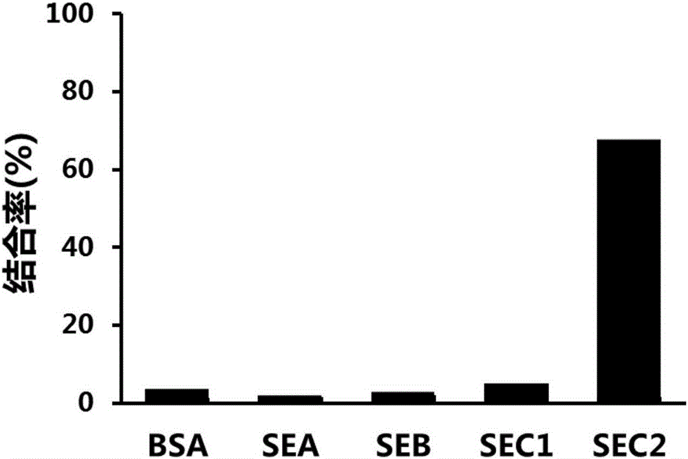 Aptamer C202 of staphylococcus aureus enterotoxin C2 as well as screening method and applications thereof