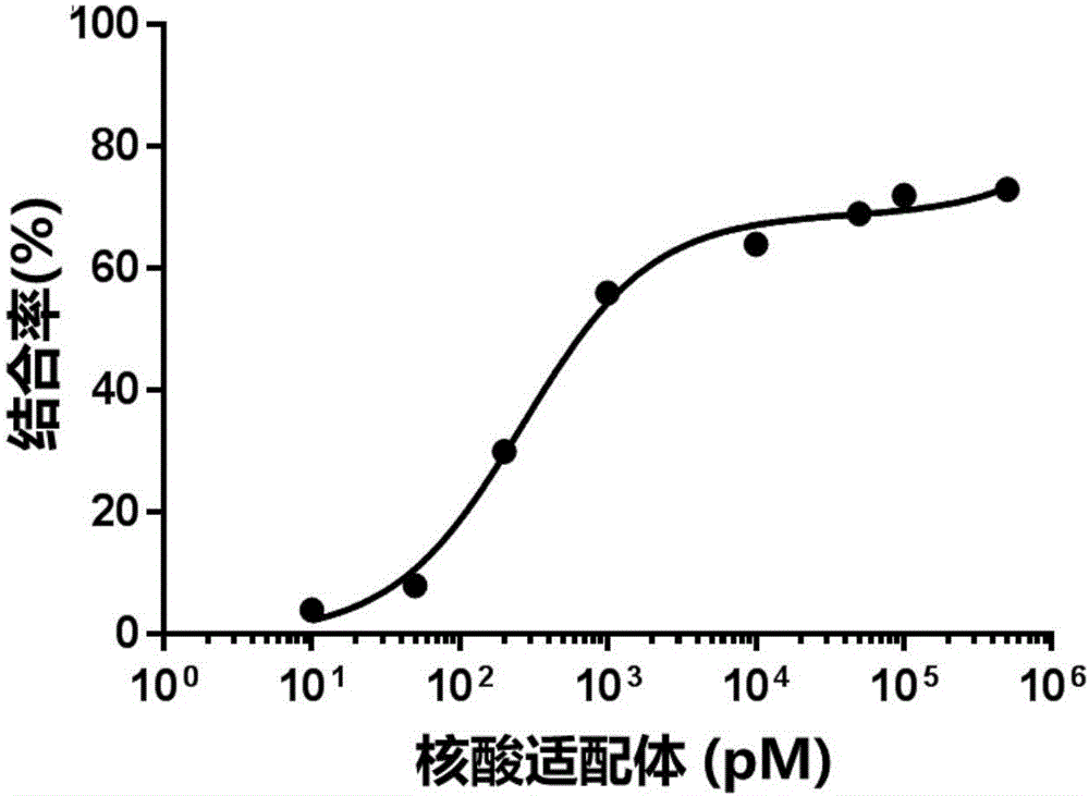 Aptamer C202 of staphylococcus aureus enterotoxin C2 as well as screening method and applications thereof