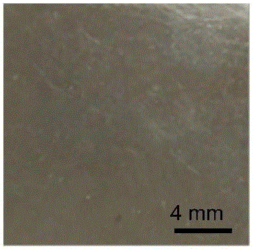 Method for manufacturing microtexture friction surface through photoetching