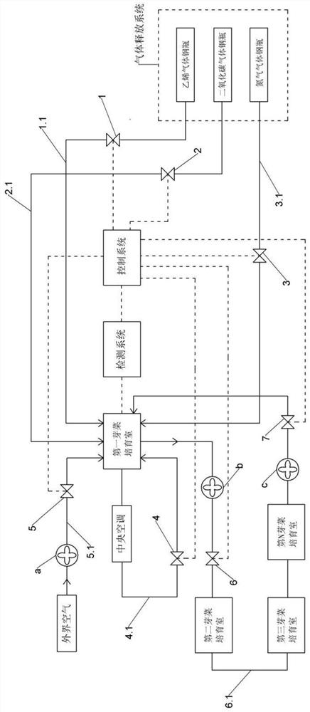 Production process and cultivation system for cultivating pollution-free bean sprouts by precisely controlling ethylene mixed gas