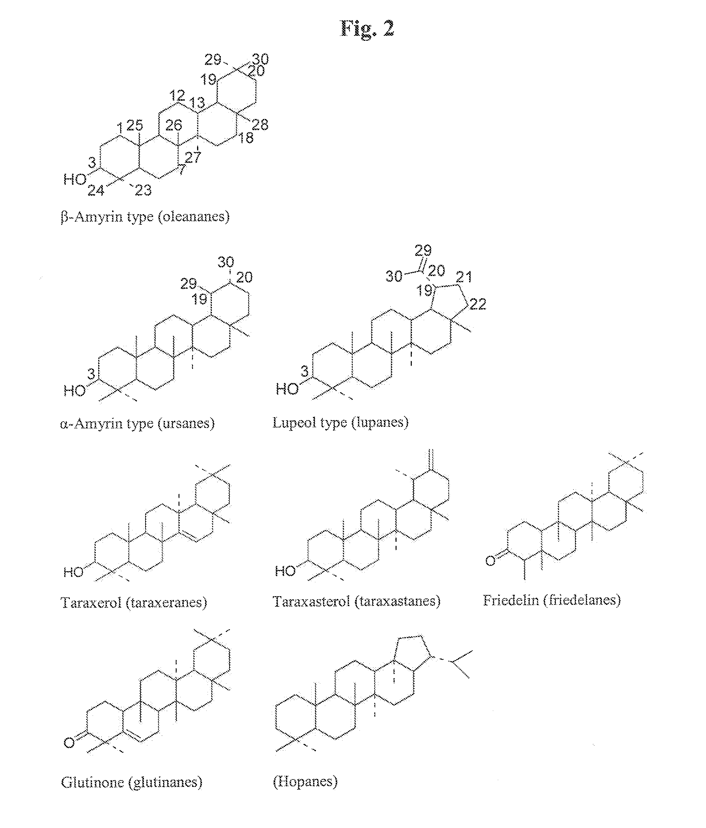 Particle structures comprising sterols and saponins