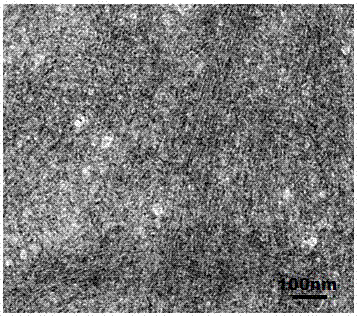 Simple, convenient and rapid preparation method of cellulose nanofiber