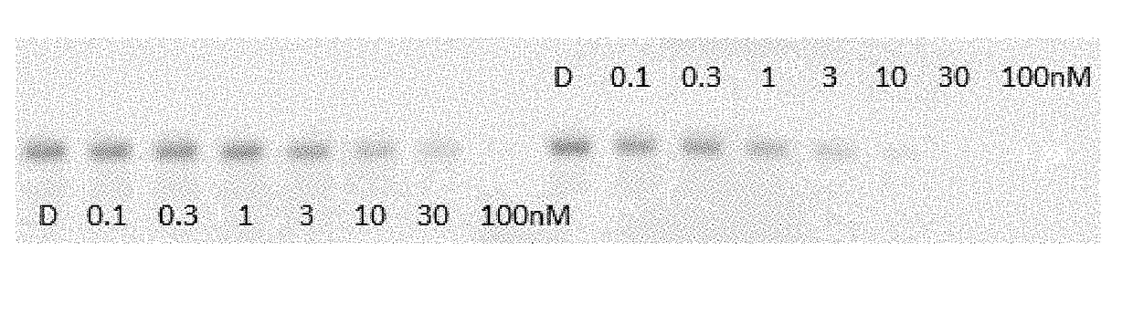 Indole derivatives as estrogen receptor degraders