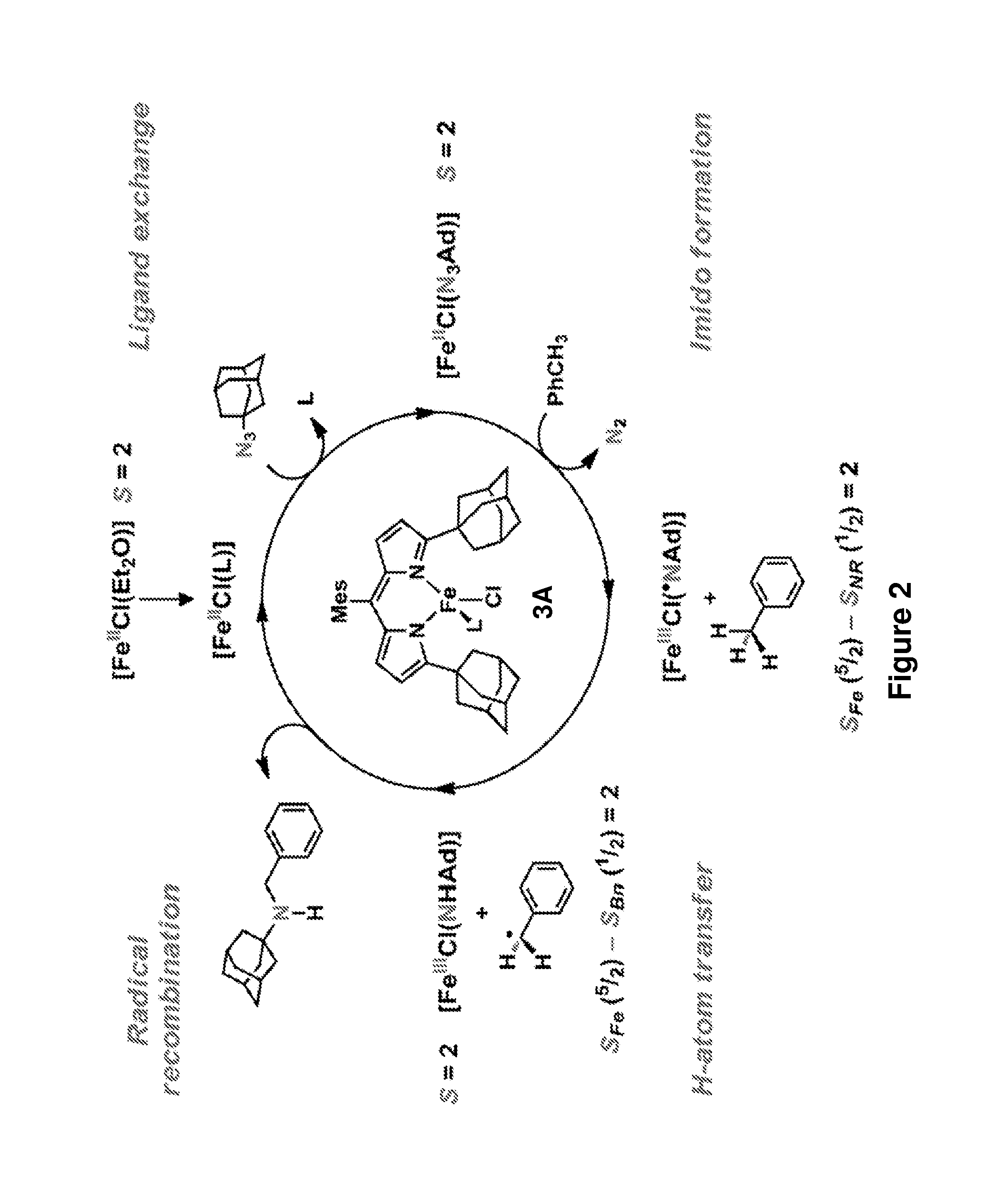 Synthesis of acyclic and cyclic amines using iron-catalyzed nitrene group transfer