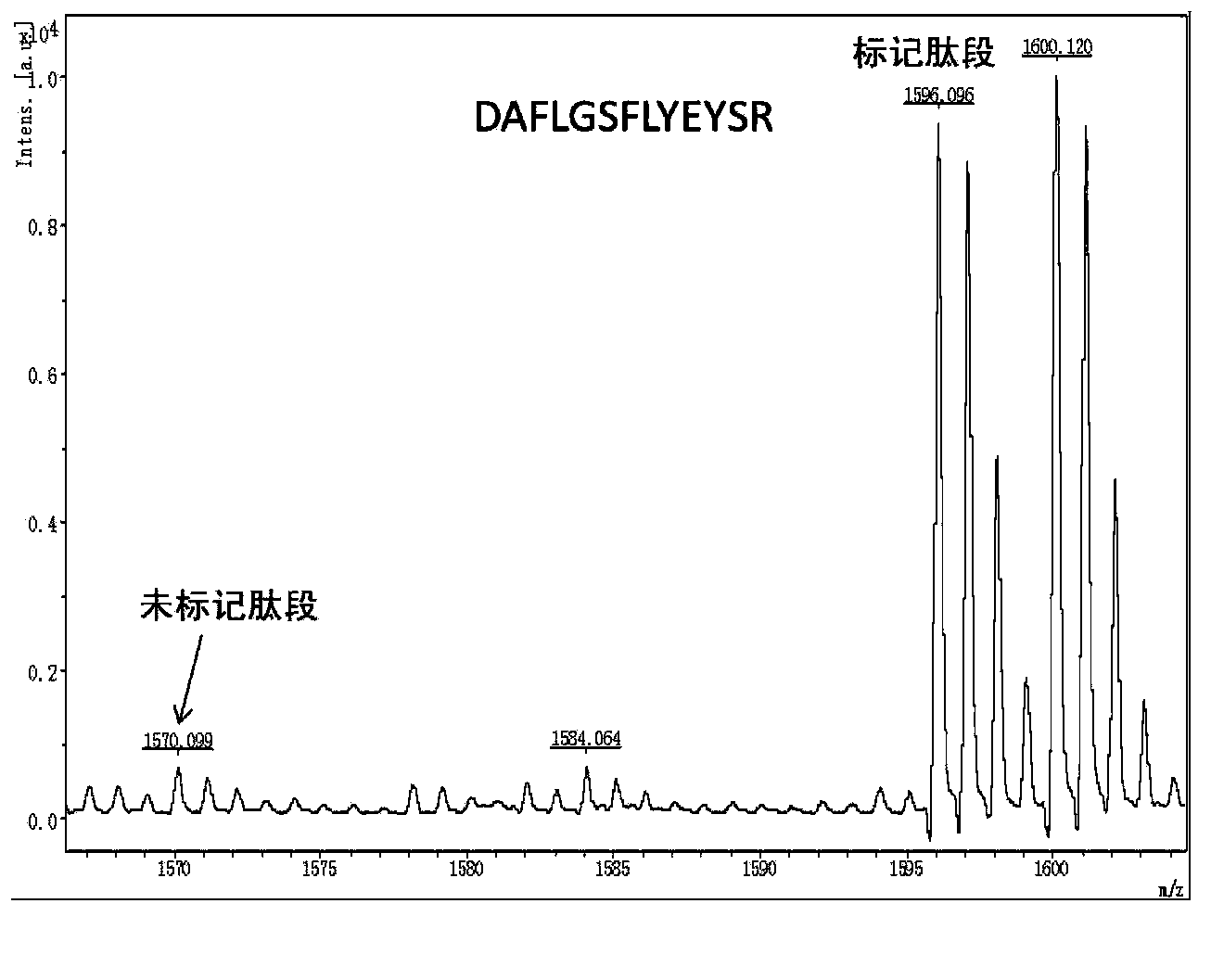 Double-channel SPE column and application of double-channel SPE column in quantitative proteomics