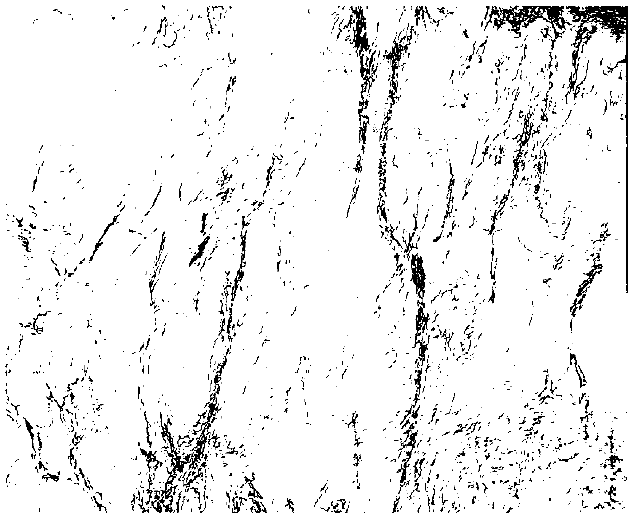 An automatic fracture detection method based on seismic coherent volume slices