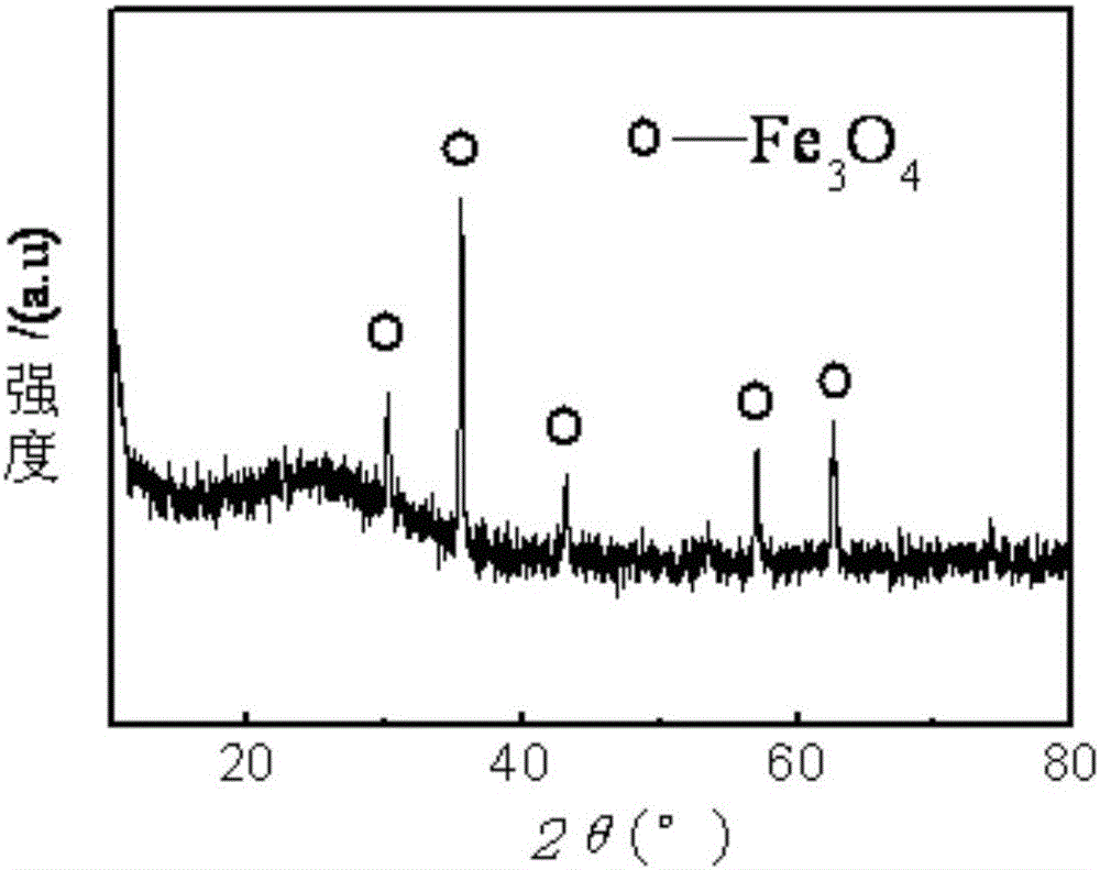 Ferromagnetic glass fiber, preparation method, and application of same