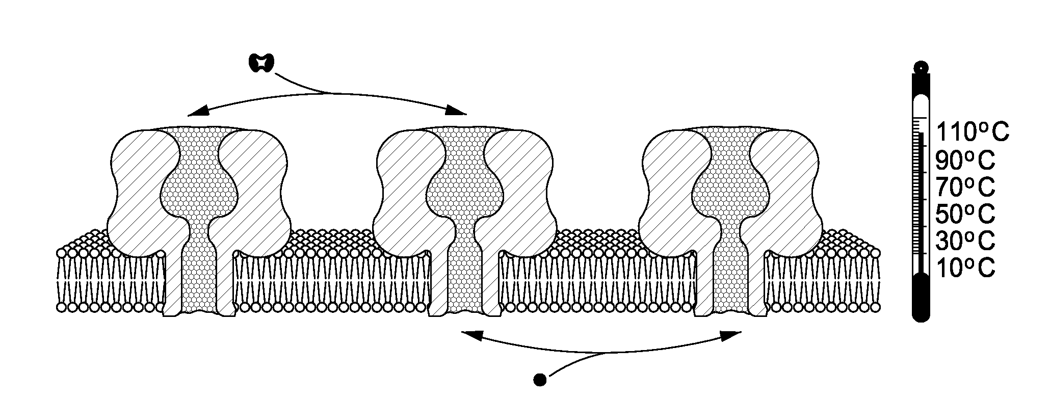 High temperature ion channels and pores