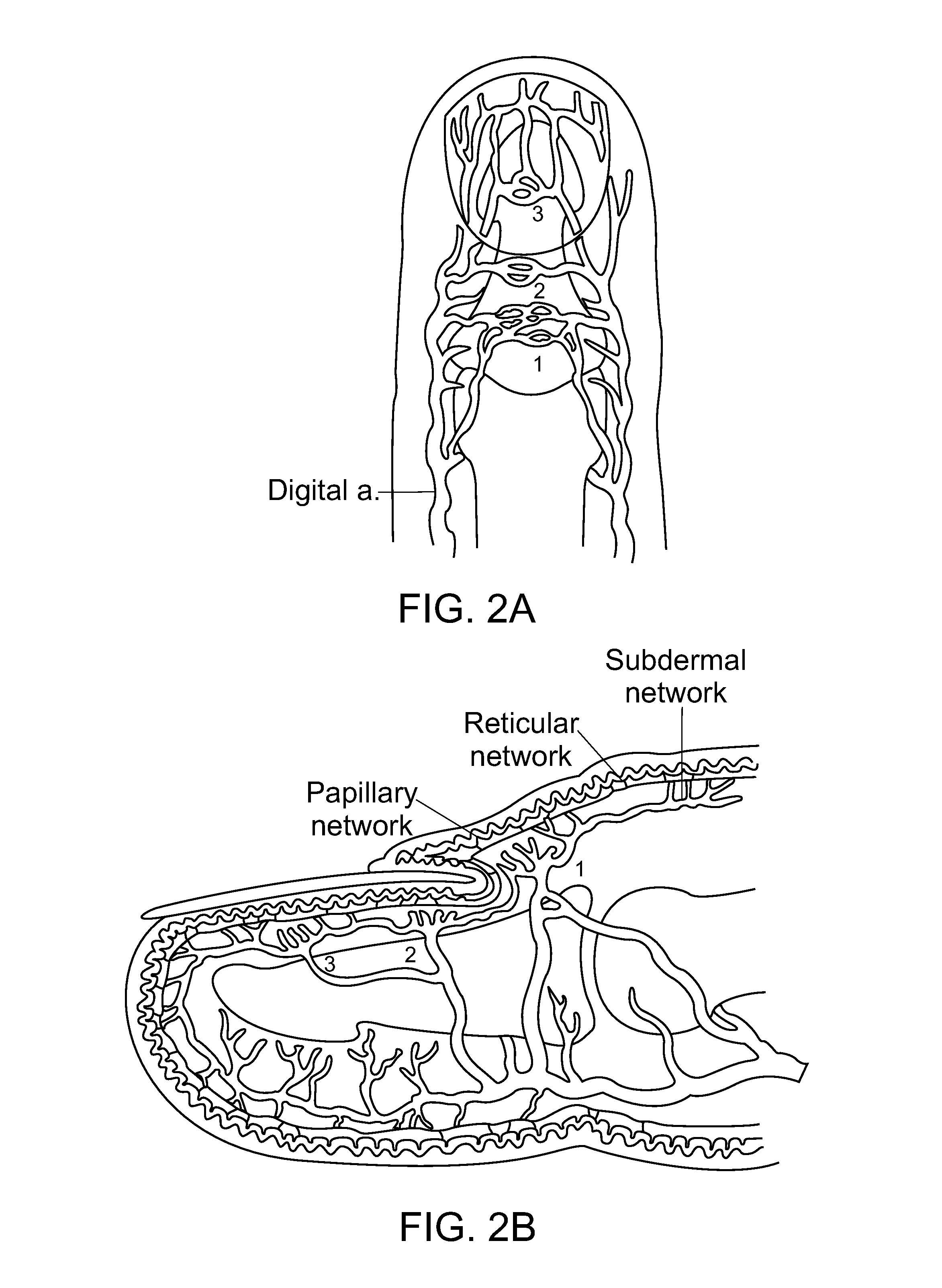 Optical systems for diagnosing and monitoring dermal microvascular health