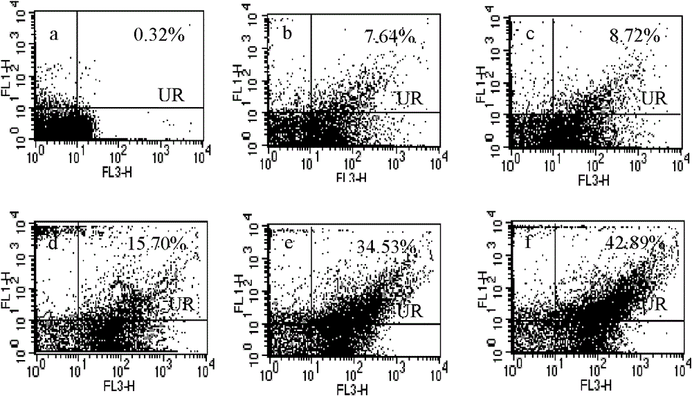 Method for detecting the colon bacillus by combining magnetic nanoparticle enrichment with bi-color flow cytometry