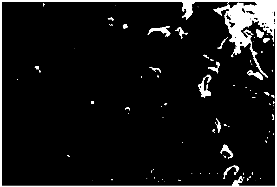 Preparation method of carbon tube-modified molybdenum disulfide negative pole material of lithium ion battery