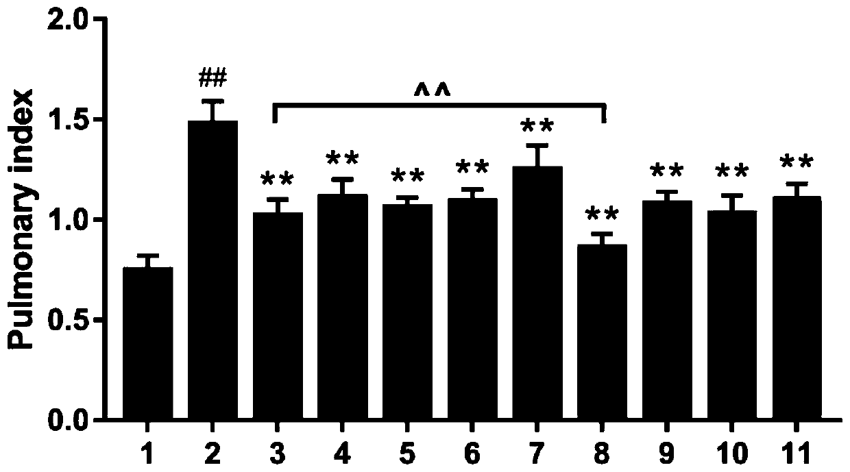 Novel clinical application of minor radix buplenri granules and antibiotics