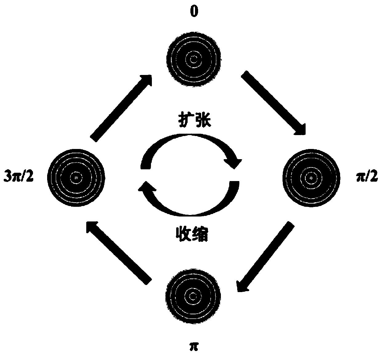 Visual acuity detection method based on motion visual evoked potential