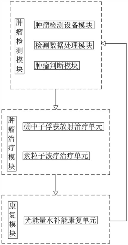 Tumor cell detection, treatment and rehabilitation system