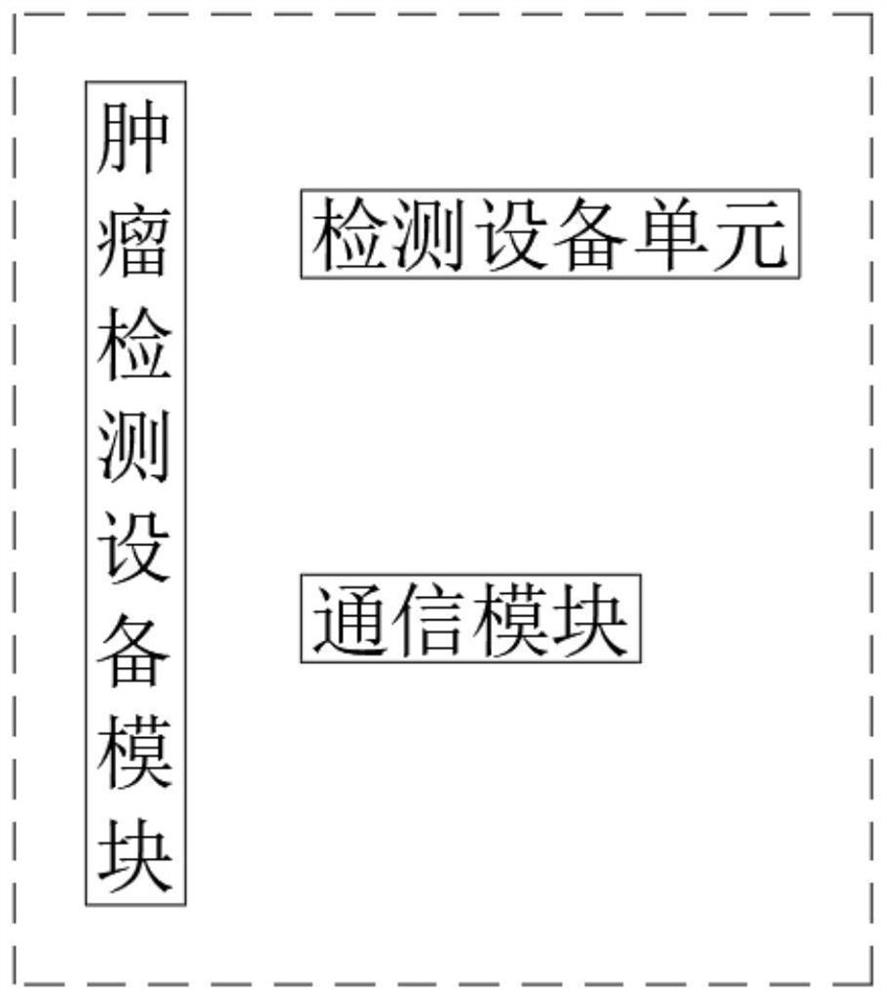 Tumor cell detection, treatment and rehabilitation system