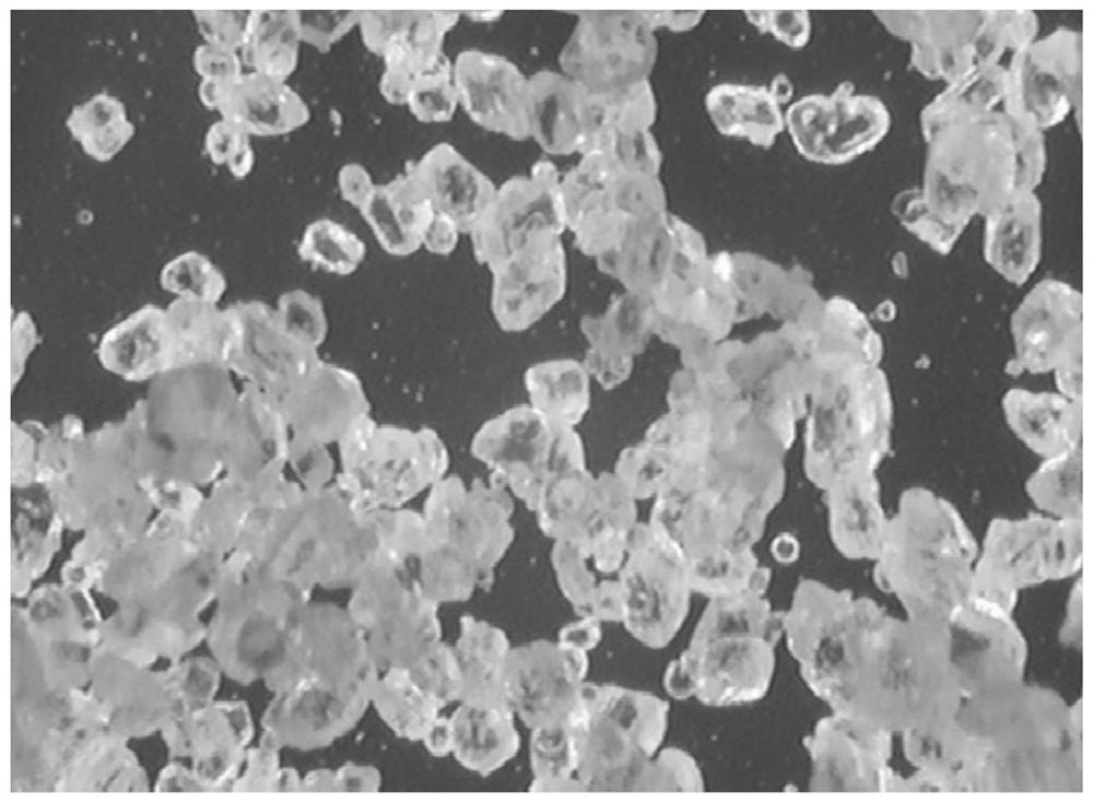 A kind of method that takes secondary amine as raw material to prepare crystalline thioaminocarboxylate