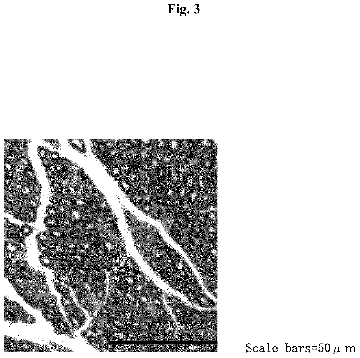 Nerve regeneration-inducing material