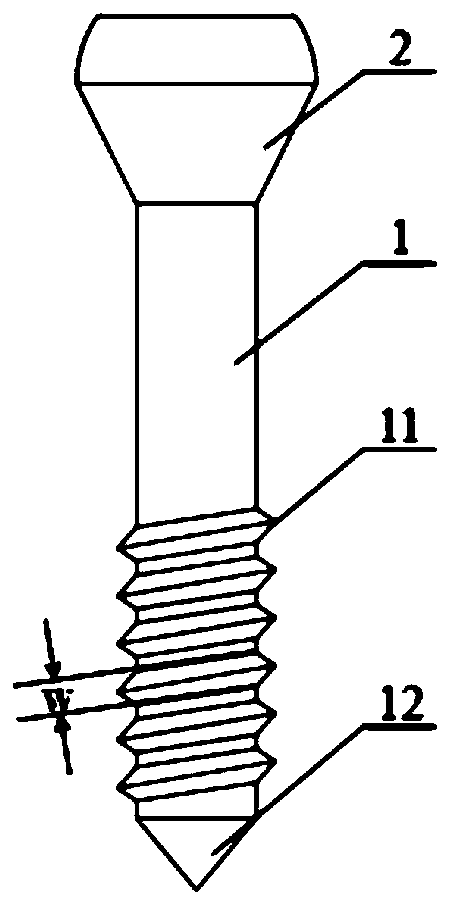 Intraosseous fixing screw made of semi-threaded magnesium alloy and magnesium alloy