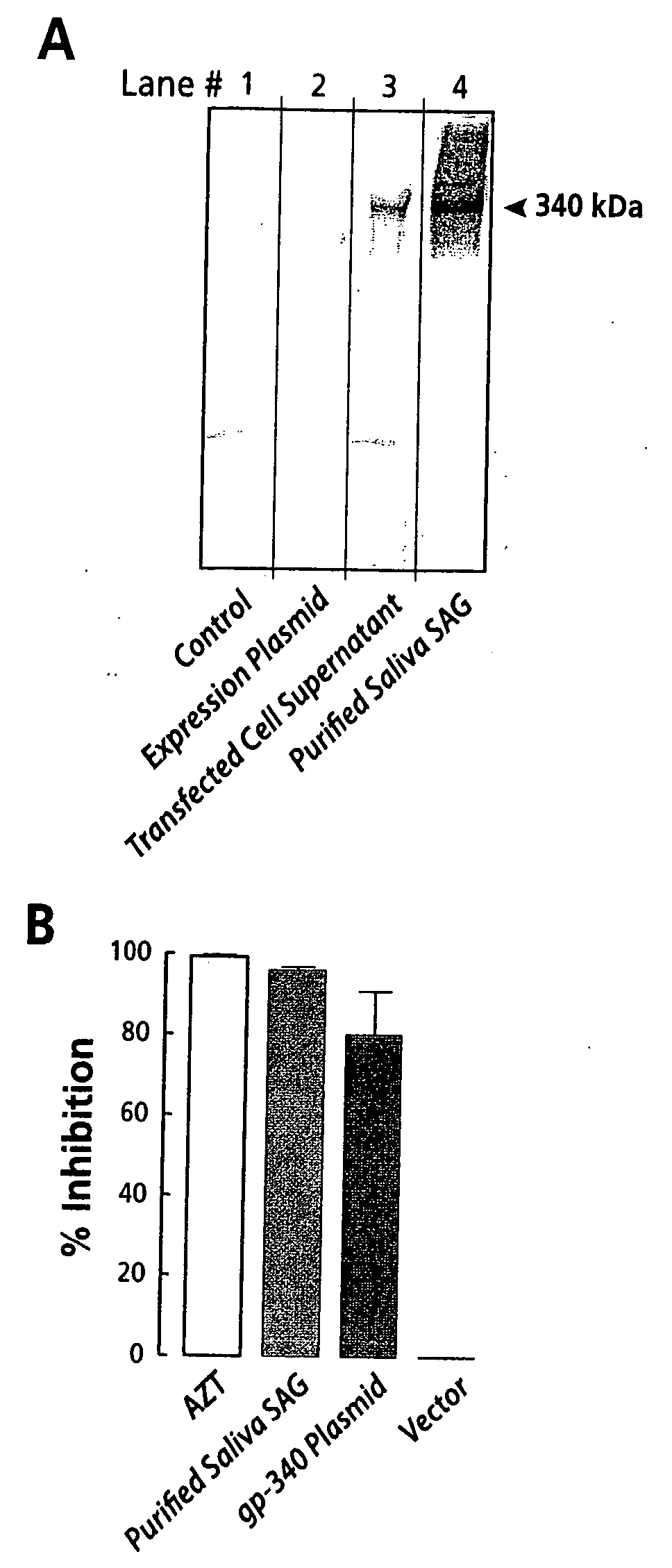 Polyvalent multimeric composition containing active polypeptides, pharmaceutical compositions and methods of using the same