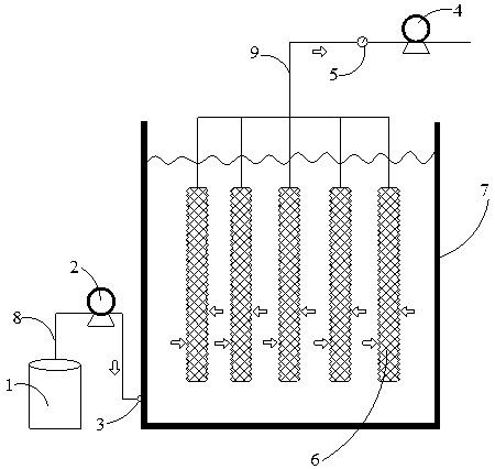 Novel anammox biomembrane reactor and biological denitrifying method thereof