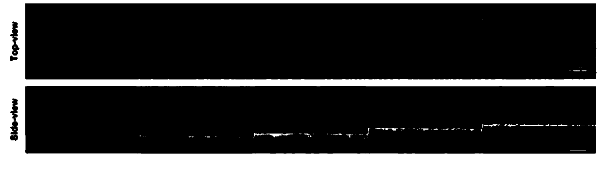 Gradient silica surface microfluid system construction method