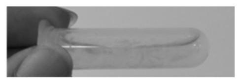 Preparation method of chitosan/sodium alginate composite hydrogel