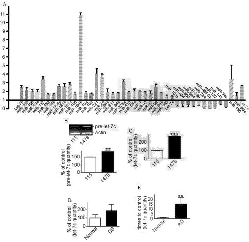 Application Let-7C gene to preparation of drug for treating Alzheimer disease