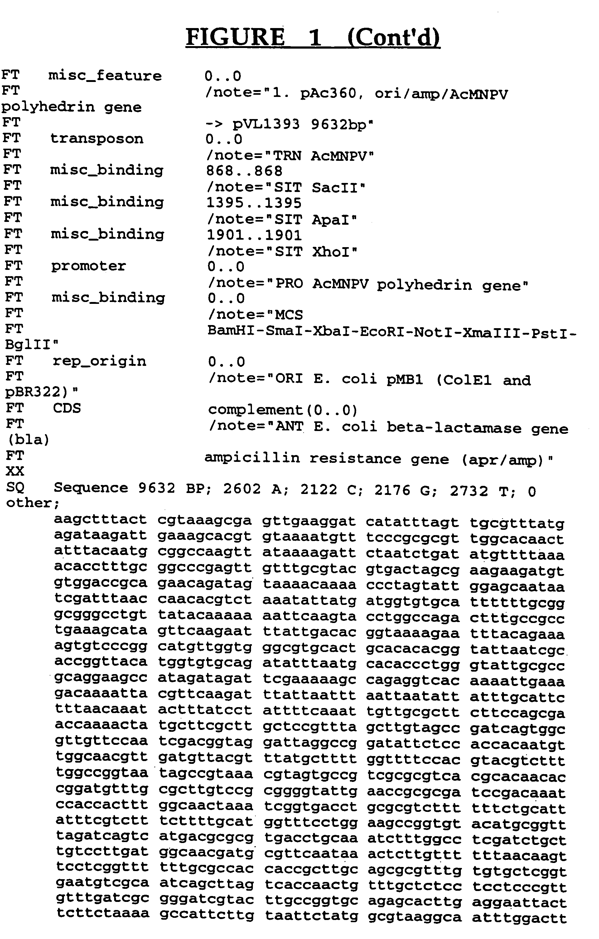 Ricin-like toxin variants for treatment of cancer, viral or parasitic infections