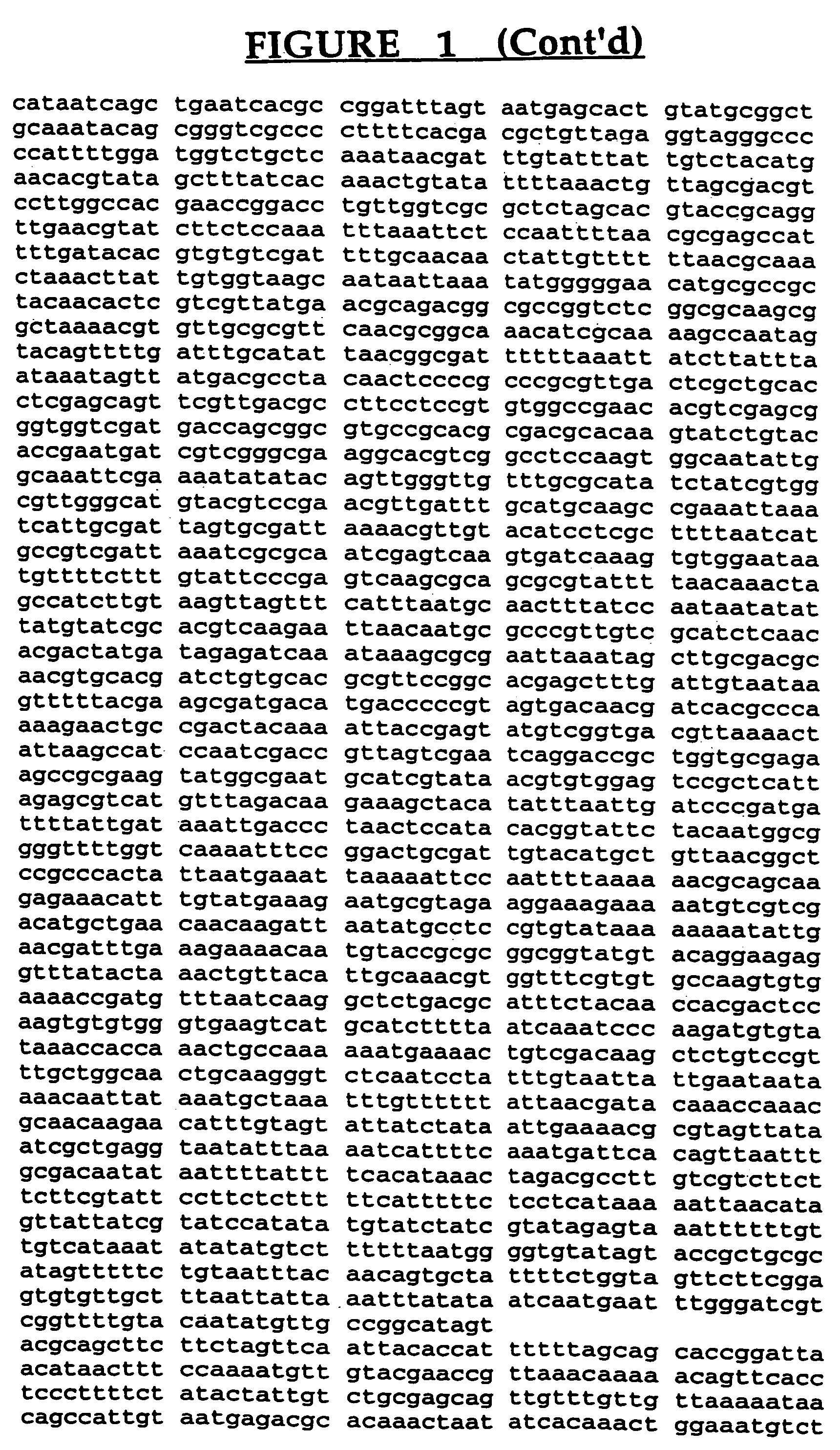 Ricin-like toxin variants for treatment of cancer, viral or parasitic infections