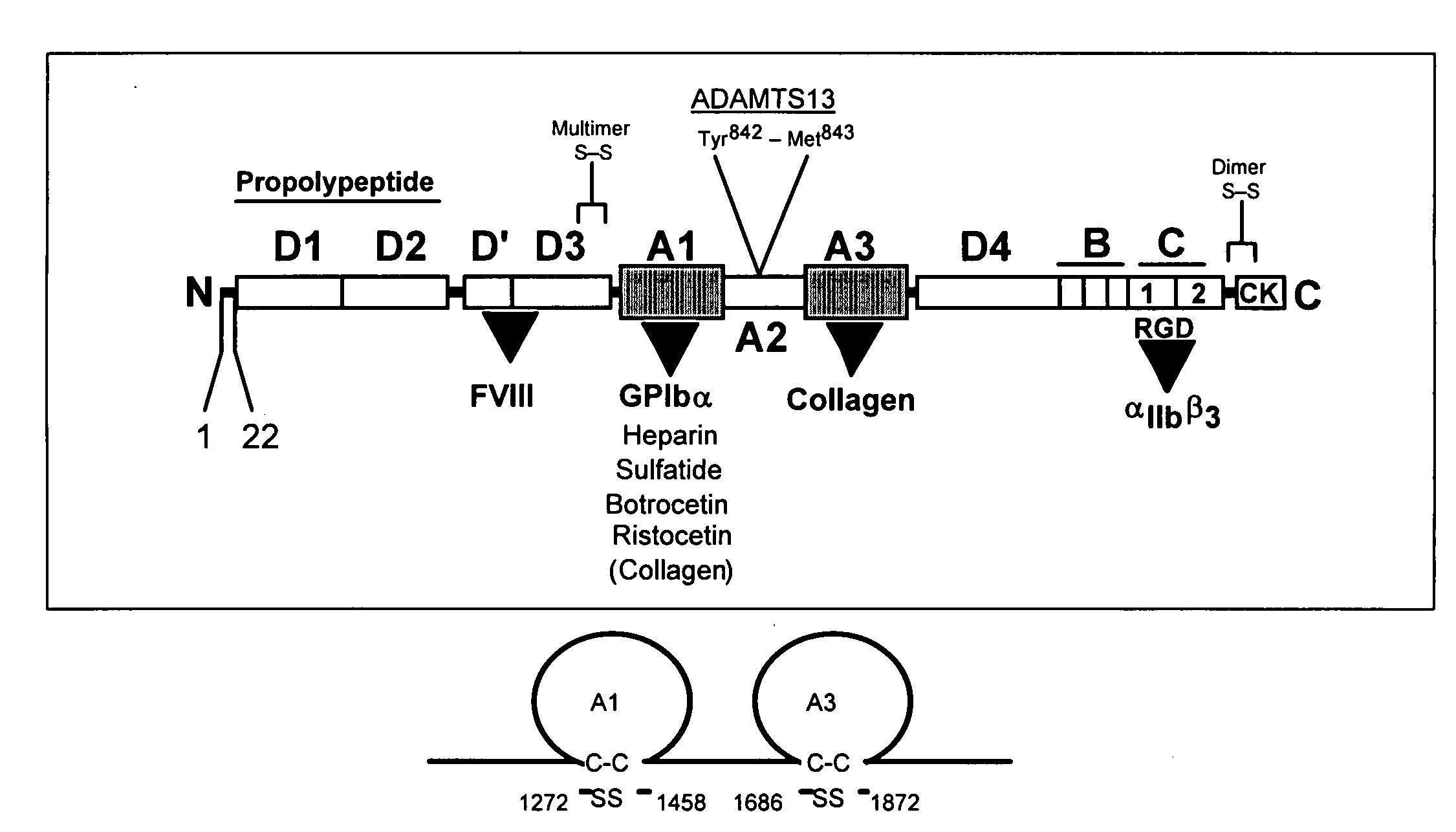 Methods for testing Anti-thrombotic agents