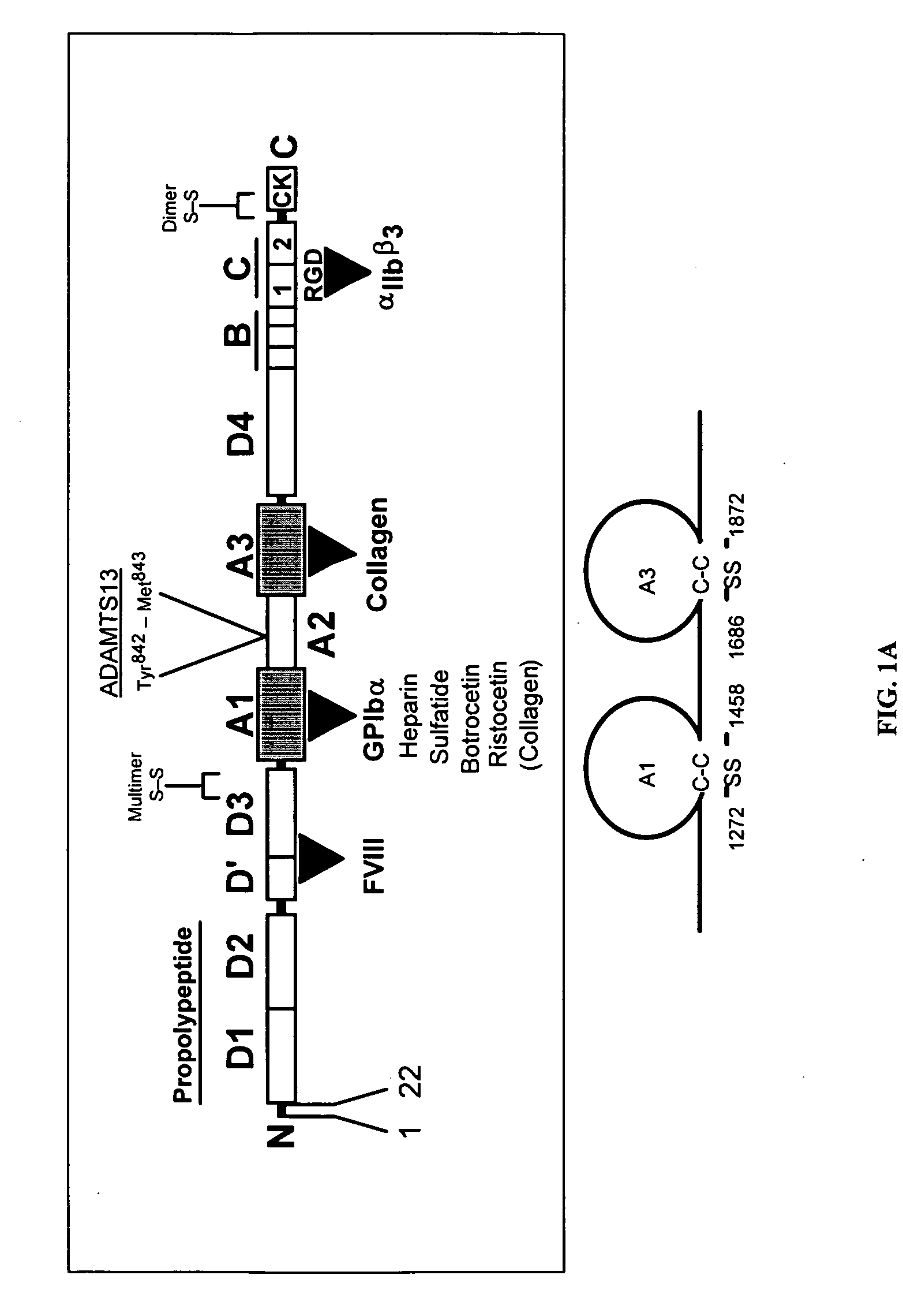 Methods for testing Anti-thrombotic agents