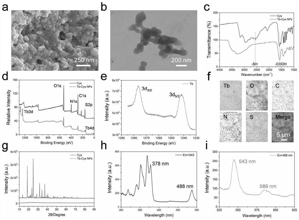 Self-assembled terbium-cysteine nanoparticles as well as preparation method and application thereof