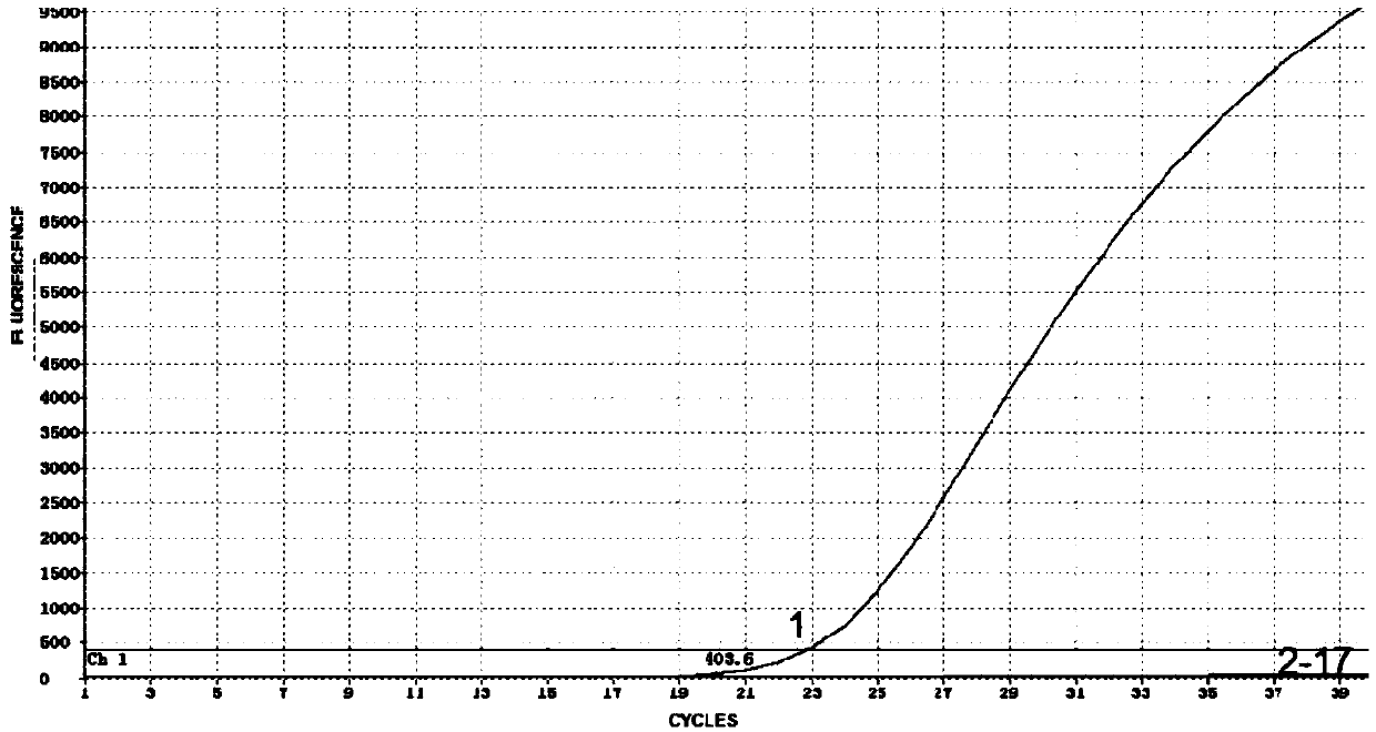 Freeze-dried microchip for identifying H9 and H6 subtype low-pathogenicity avian influenza viruses, kit and method thereof