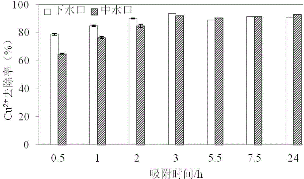 Method and device for purifying water body with heavy-metal pollution