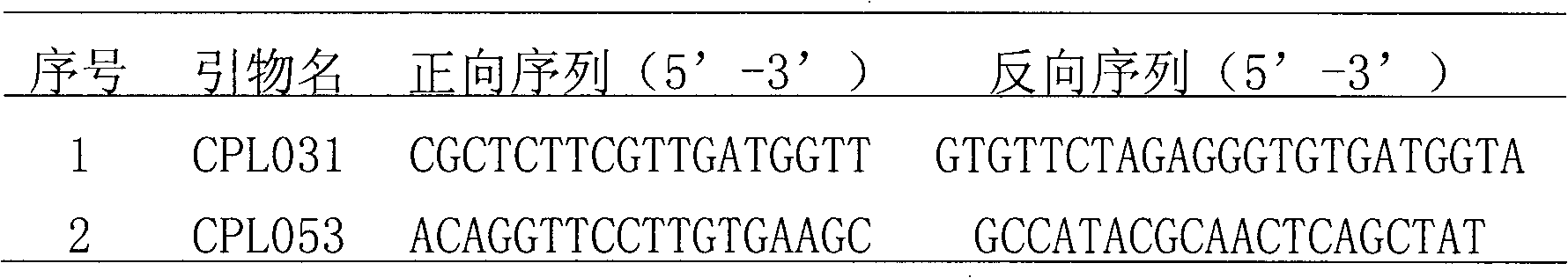 Method for rapidly detecting seed purity of asparagus bean cultivars and reagent kit thereof